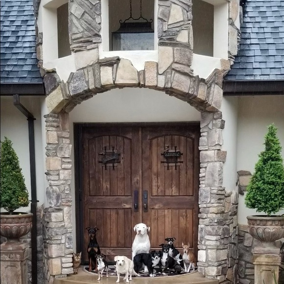 🔥AMBASSADOR🔥 - Picture 6 of 15